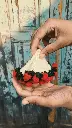 1000012351.webp